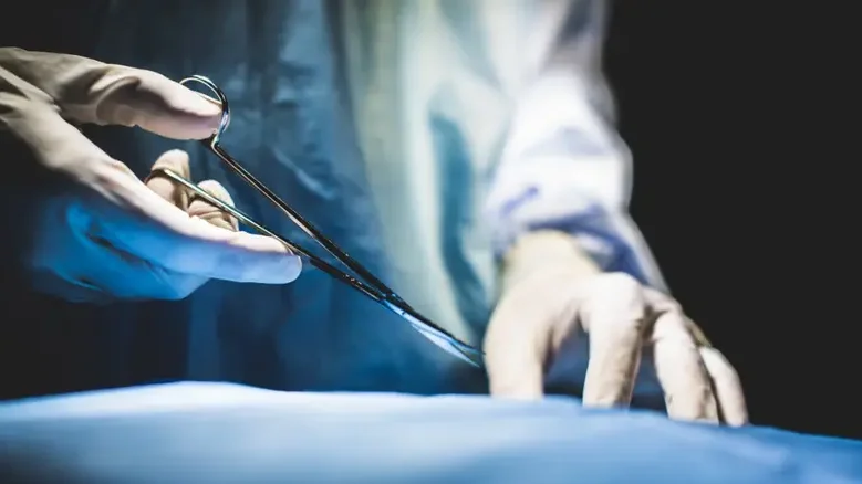 Imagem de Sociedade da Transplantação alerta que falta de profissionais na saúde pode condicionar atividade