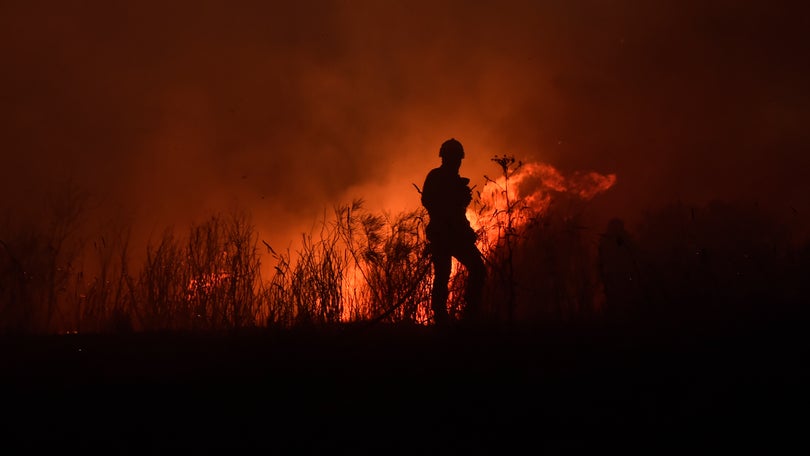 Incêndios: Mais de 70 concelhos da região Centro e do Algarve em risco máximo