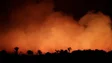 Incêndios florestais na Amazónia brasileira tiveram aumento de 52,3% no último mês