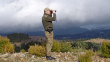 Imagem de A Madeira vai alargar período de vigilância aos fogos florestais