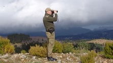 A Madeira vai alargar período de vigilância aos fogos florestais