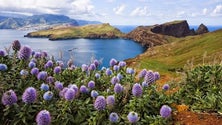 Imagem de Madeira conhece hoje se mantém o título de Melhor Destino Insular do Mundo