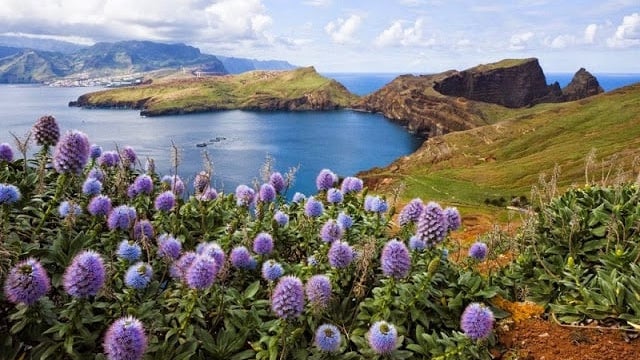 Imagem de Madeira conhece hoje se mantém o título de Melhor Destino Insular do Mundo