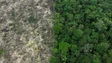 Imagem de Planeta perdeu em 2022 área de floresta tropical equivalente ao tamanho da Suíça