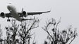 Imagem de Tráfego aéreo de passageiros cai 60%