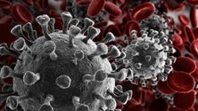 Imagem de Madeirenses foram vítimas de várias epidemias (Vídeo)