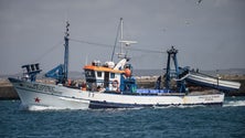 Bruxelas propõe cortes nas capturas de pescada