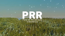 Imagem de Madeira espera ter ajuda adicional do PRR (vídeo)
