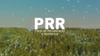 Imagem de Madeira espera ter ajuda adicional do PRR (vídeo)
