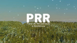 Madeira espera ter ajuda adicional do PRR (vídeo)