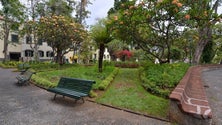 Imagem de Câmara do Funchal admite falta de jardineiros municipais