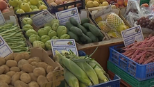 Imagem de Mercado da Penteada com quebras na procura (Vídeo)