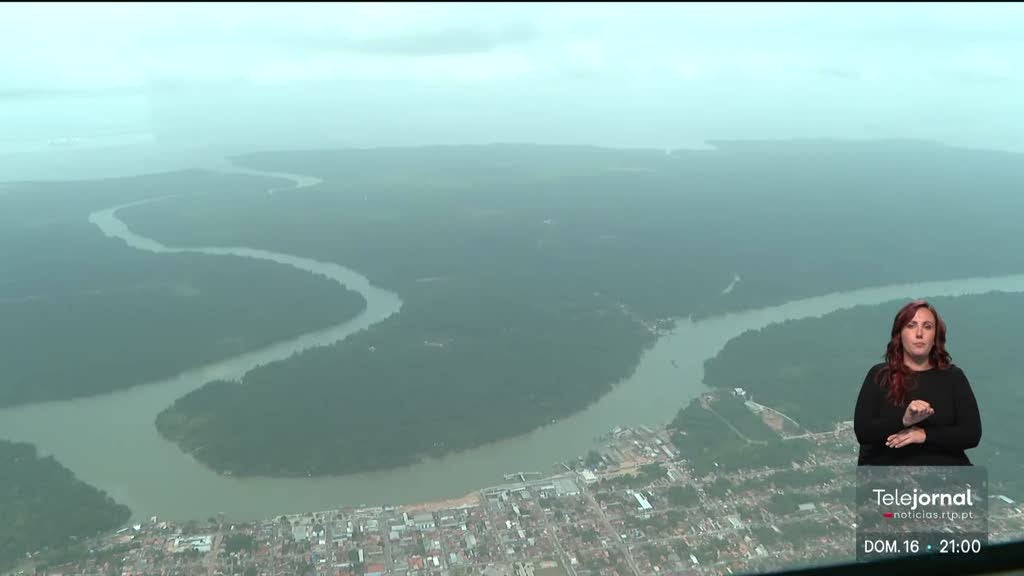 Exclusivo RTP. Milhares hectares da Amazónia arrasados para soja e gado