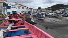 “Senhora do Socorro” ganha Campeonato de Botes Baleeiros (Vídeo)