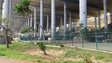 Imagem de Câmara recupera Parque Desportivo (vídeo)