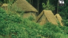 Imagem de União dos Caseiros da Madeira doa espólio ao Arquivo Regional e Biblioteca Pública