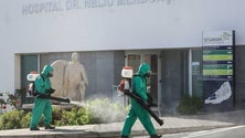 Imagem de Covid-19: Sobe para 34 o número de casos ativos na Madeira