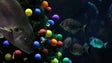 Imagem de Madeira exibe árvore de Natal submersa