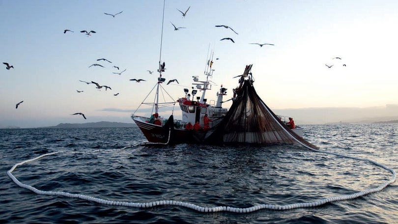 Seminário sobre boas práticas de pesca no Museu da Baleia