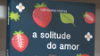 Madeirense apresenta poesia A solitude do Amor  (vídeo)