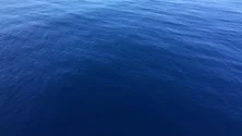 Imagem de Presidente do governo valoriza Mar dos Açores (Vídeo)