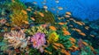 Imagem de Mais de metade dos oceanos pode já estar afetada pelas alterações climáticas, aponta estudo