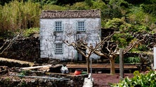 Imagem de Cresce a pressão imobiliária nas fajãs de São Jorge (Vídeo)