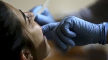 Imagem de Mais de 70% das crianças até aos seis anos nunca vão ao dentista