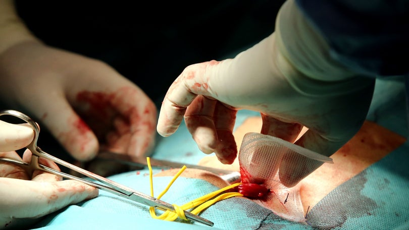 Imagem de Afeganistão: OMS avisa que só tem material médico para uma semana