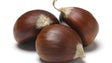 Produção de castanha na Madeira aumentou 40% em comparação a 2021 (áudio)