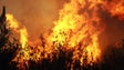 Imagem de Bombeiros combatem dois incêndios ativos na Região
