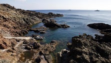 Imagem de Madeira celebra 50 anos da reserva natural das Ilhas Selvagens (vídeo)