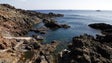 Imagem de Madeira celebra 50 anos da reserva natural das Ilhas Selvagens (vídeo)