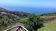 Imagem de Associação de Turismo Madeira Rural assinala 20 anos de existência (Áudio)