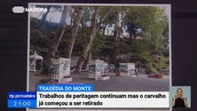 Imagem de Fotografias de 2013 dão conta da inclinação do carvalho