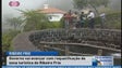 Imagem de Governo avança com requalificação do Ribeiro Frio (Vídeo)