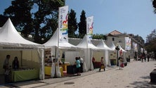 Imagem de Câmara do Funchal promove semana da literatura para ajudar livreiros