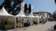 Imagem de Câmara do Funchal promove semana da literatura para ajudar livreiros