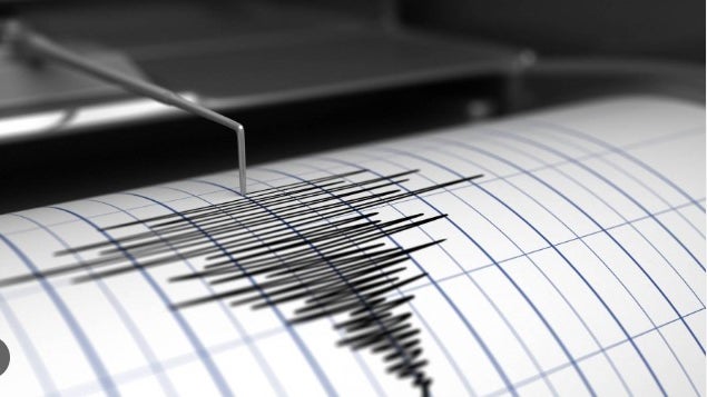 Imagem de Sismo de magnitude 7,1 registado no Mar de Bali