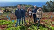 Imagem de Florestas do litoral-sul da Madeira merecem plano de recuperação (vídeo)