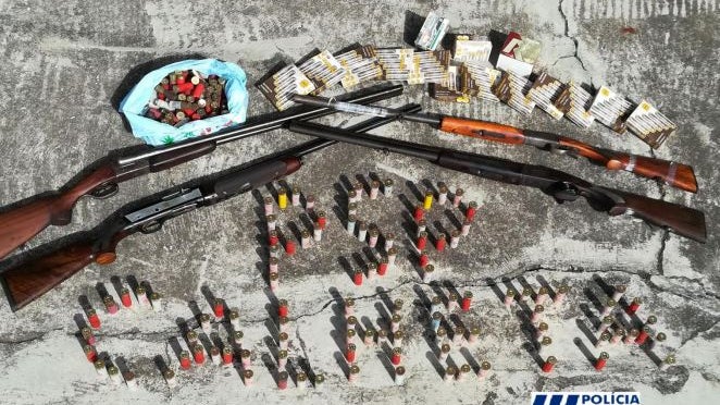 Imagem de PSP apreende 4 armas ilegais na Calheta