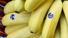Imagem de Comercialização de banana diminuiu 6%