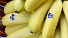 Comercialização de banana diminuiu 6%