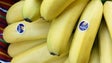 Comercialização de banana diminuiu 6%