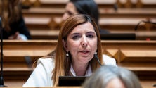 Imagem de «A situação é realmente caótica» (áudio)