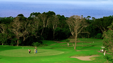 Imagem de Região vai pagar mais de sete milhões pelos campos de golfe de São Miguel (Vídeo)