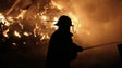 Fogo de artifício provocou vários incêndios no Funchal