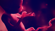 Imagem de Portugal é país europeu com menos abortos