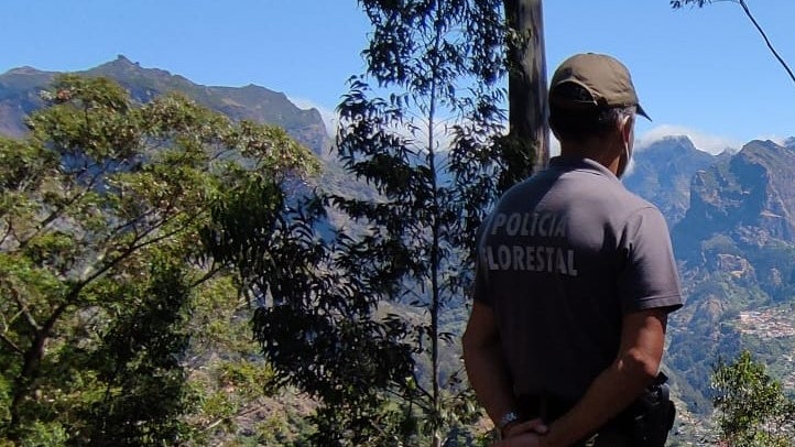 Imagem de Identificado autor de queimada ilegal em Machico
