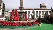 Imagem de Assembleia Municipal do Funchal adia votação do Orçamento e Plano de 2018